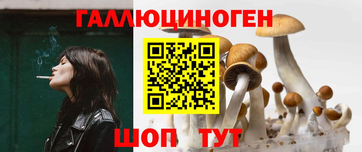 Галлюциногенные грибы Psilocybe  Псилоцибиновые грибы Psilocybine cubensis  Вход с VPN  Шарыпово 